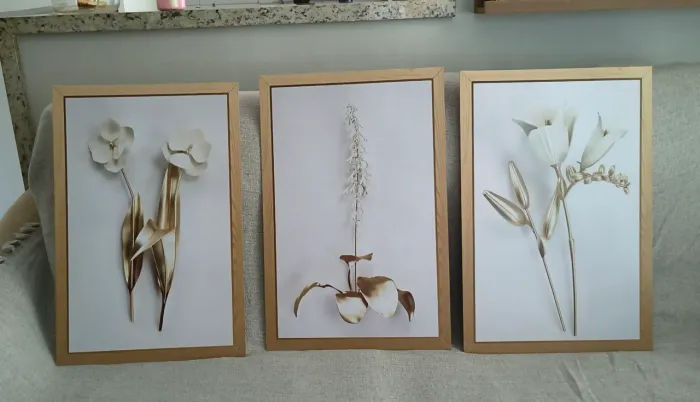 Quadros decoração
