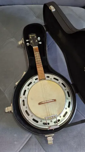 Banjo Rozini + Case