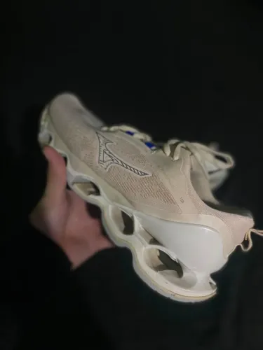 Mizuno prophecy 13