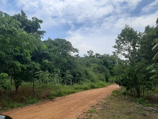 Vendo lote no km32 estrada de Balbina - Apenas 15.000$