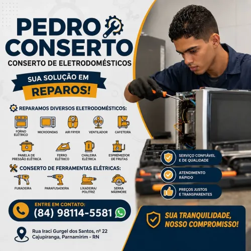 Pedro Consertos de eletrodomésticos