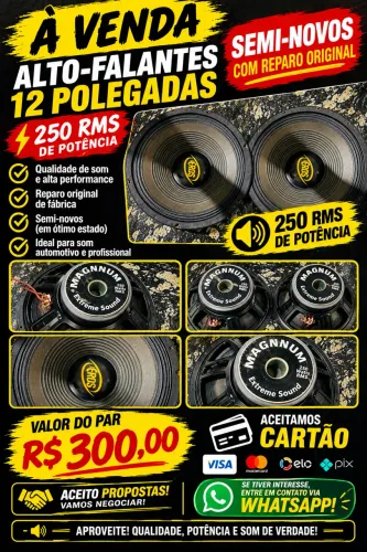 AUTO FALANTE DE 12 250rms