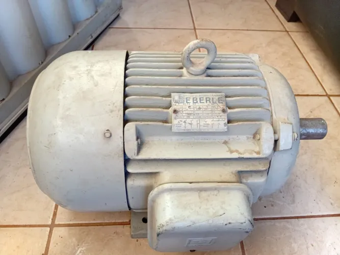 Motor 10 CV 1700 RPM trifásico 