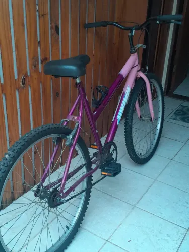 Bicicleta Adulto