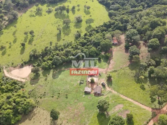 Sítio às margens do asfalto Goiânia-Go. Área total 11 alqueires.