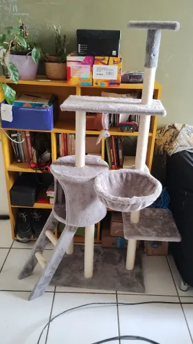 Playground para Gatos Semi-novo