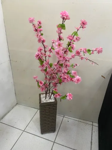 Flores