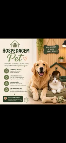 Hospedagem Pet com Conforto e Segurança