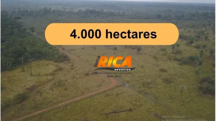 Vende-se fazenda com 4.000 hectares em Canutama/AM