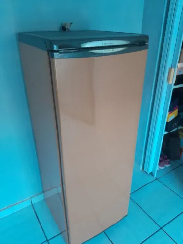 Freezer Electrolux com defeito 