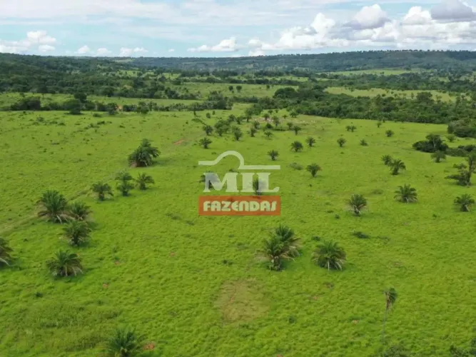 Fazenda 351 Alqueires (1.699 hectares) Santa Fé - GO