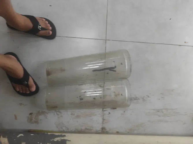 Vende-se 06 telhas de vidro em ótimas condições boas para clarear.