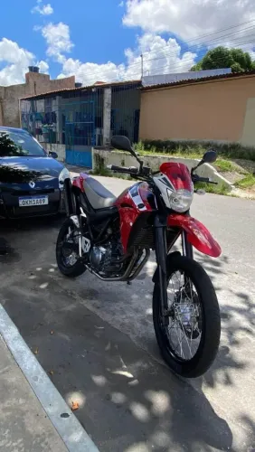 Vendo xt