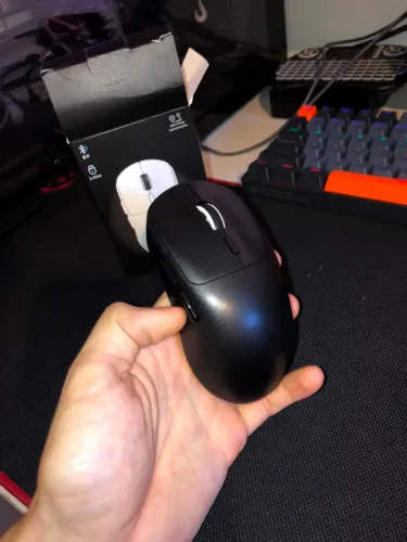 Mouse