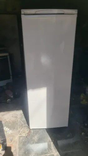 Frizer Electrolux 320L