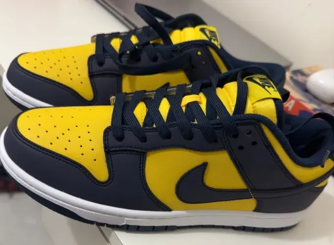 Tênis Nike Dunk Low Retro