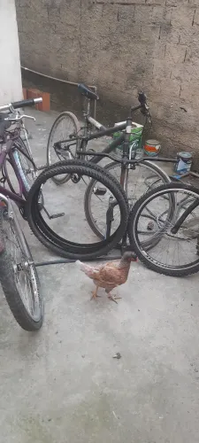 Bicicleta