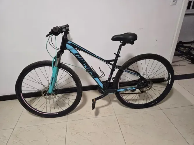bicicleta elleven belle, aro 29,