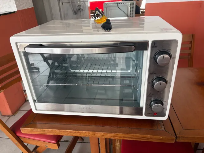 Forno elétrico mondial