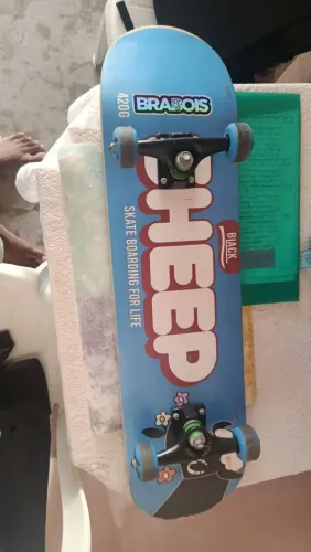 Skate Semi-profissional Montado Black Sheep - Sheep Azul