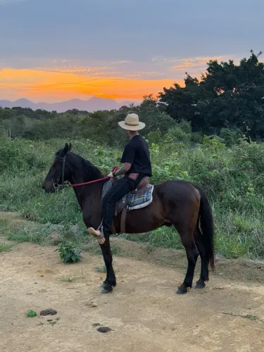VENDE - SE CAVALO MESTIÇO MANSO