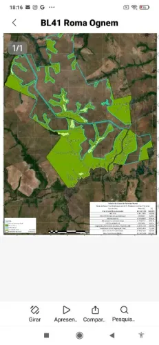 Fazenda 12.500 Hect em Tupiratins TO. 250 milhõe em 4 xs.