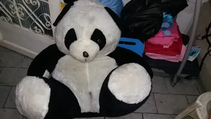 Urso Panda Pelúcia