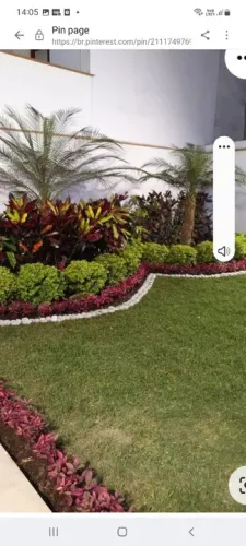 Promoção: jardinagem, paisagismo, ornamentais e frutíferas. 