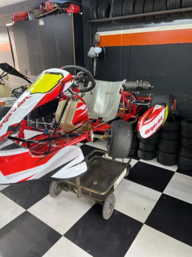 Kart Bravar 2013 + Motor 18HP
