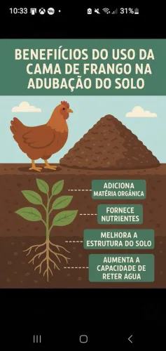 Cama de Frango para Adubação do Solo