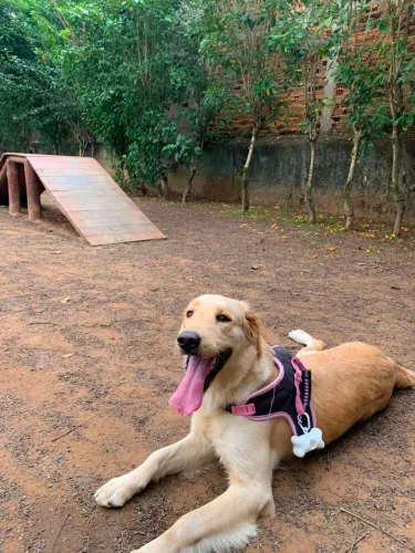 Doação