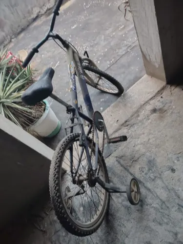 Bicicleta Pro X