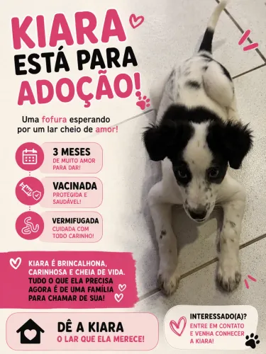 Adote Kiara