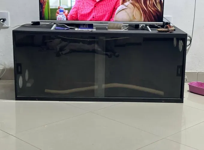 Terrário Novo