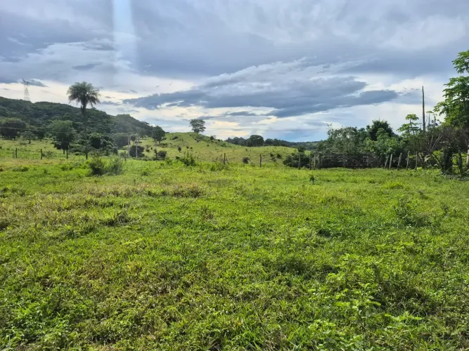 A&M IMOVEIS VENDE FAZENDA COM 315HECTARES EM CABECEIRAS