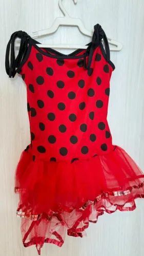 vestido fantasia ladybug 3 anos