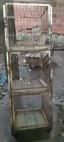 gaiola 3 lugares boa so pintar