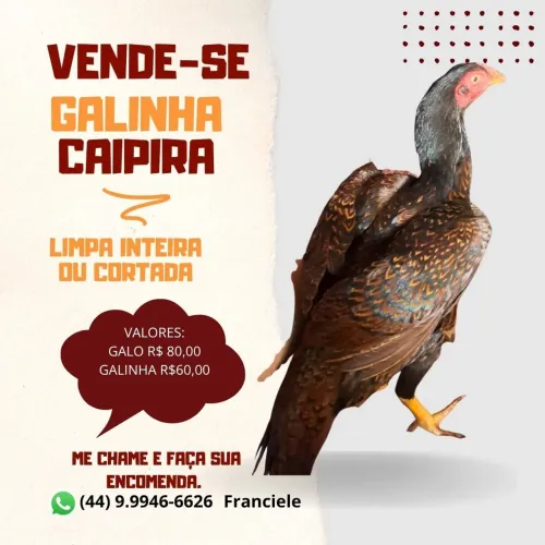Galinha caipira limpa