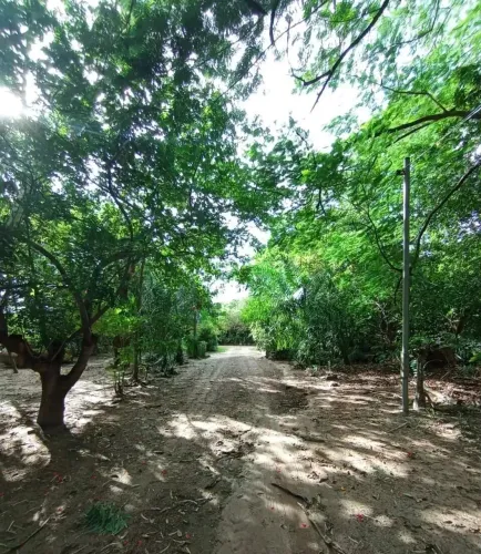 Terreno para venda, Nova Esperança, Cuiabá
