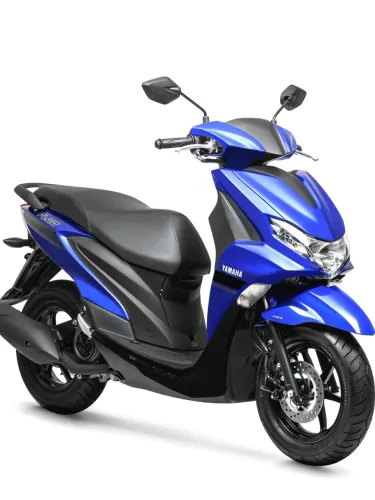 Vendo Fluo