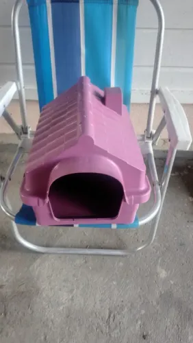 Casinha para pet