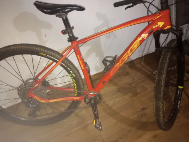 Bicicleta oggi