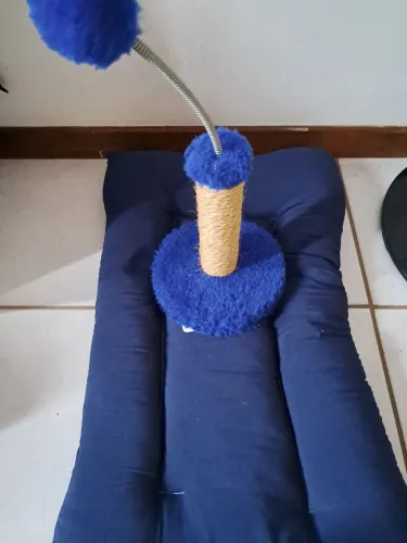 Caminha e arranhador para gato
