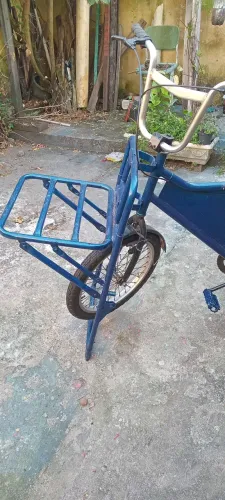 Bicicleta cargueira