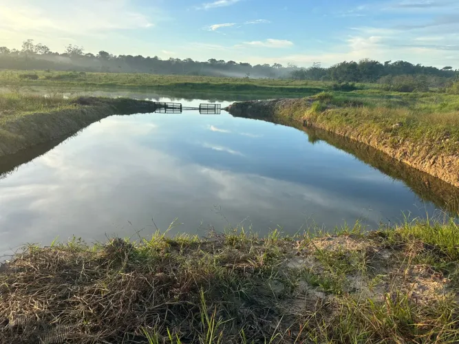 EXCELENTE FAZENDA NO ACARÁ