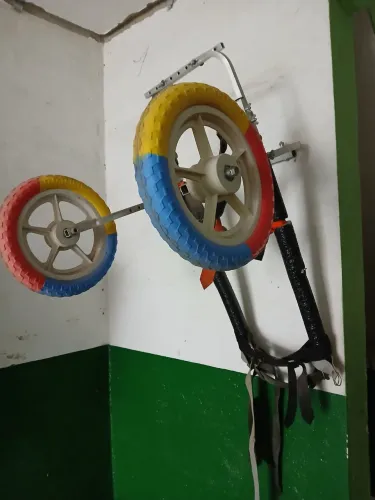 Carrinho para cachorro deficientes