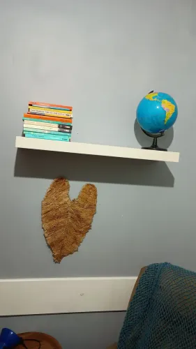 Prateleiras úteis