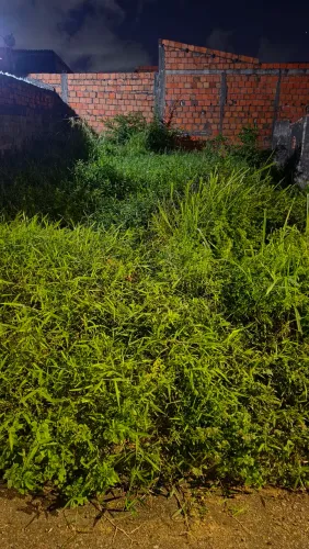 Vende terreno