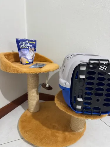 Arranhador/ Casinha / Anti odor para areia e cortador de unha