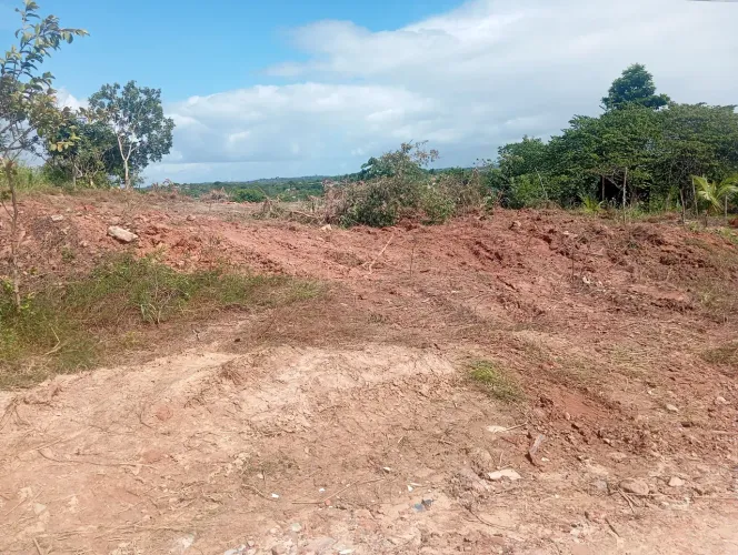 Terreno parque verde 3